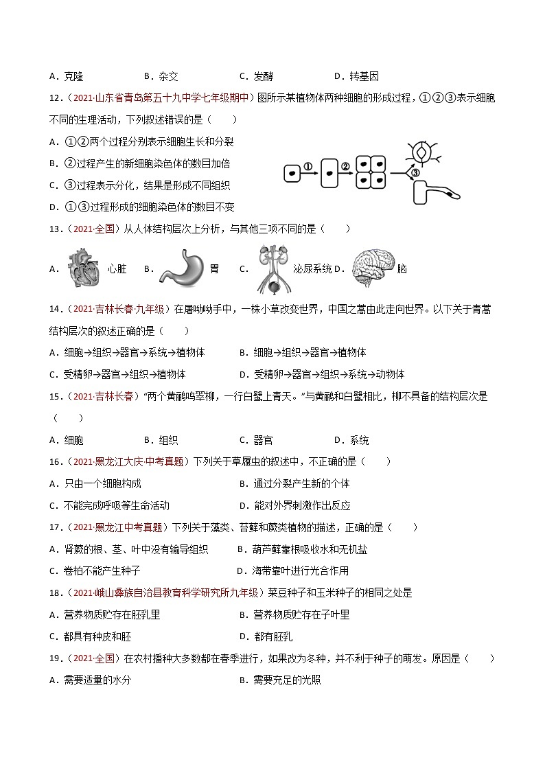 期末测试（A卷•夯实基础）-2022-2023学年七年级生物学上册同步单元AB卷（人教版）03