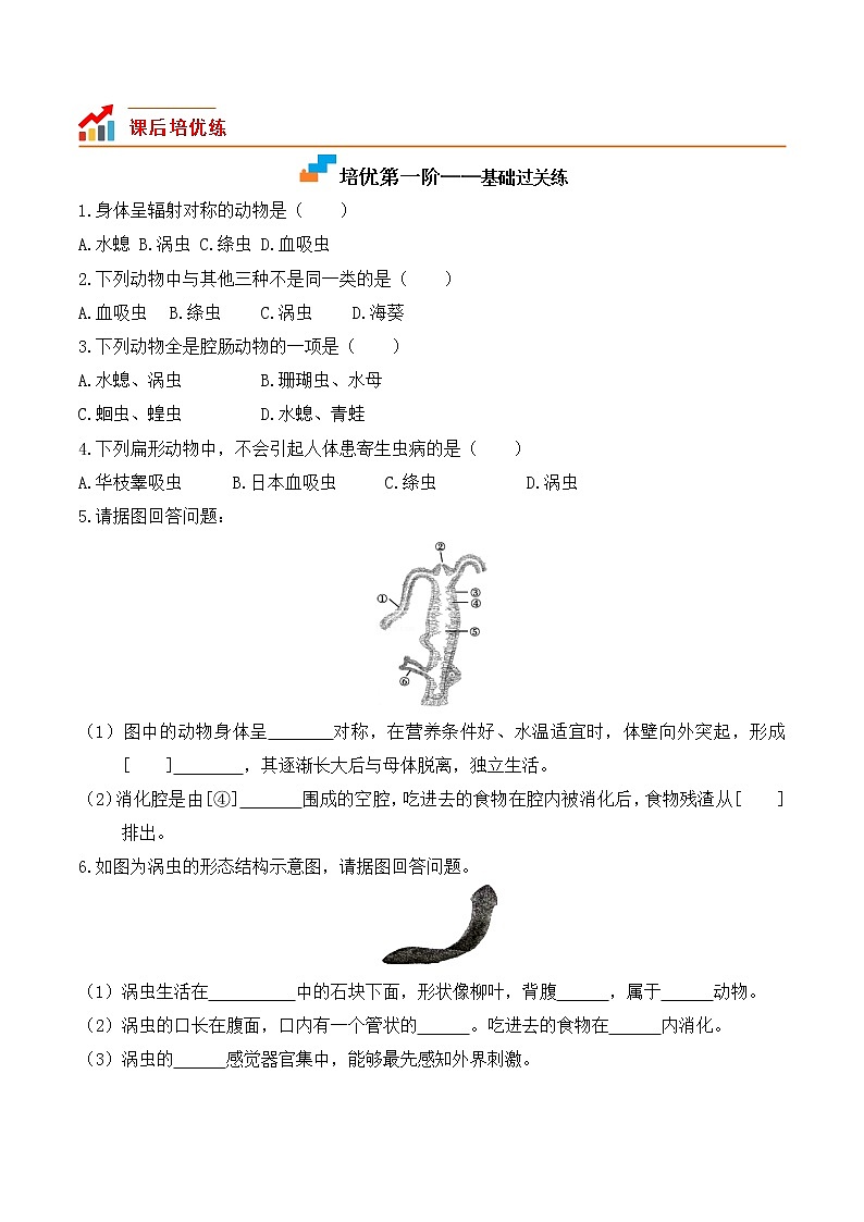 5.1.1腔肠动物和扁形动物-2022-2023学年八年级生物上册课后培优分级练（人教版）02