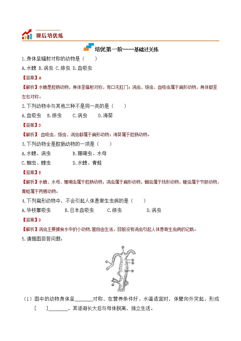 5.1.1腔肠动物和扁形动物-2022-2023学年八年级生物上册课后培优分级练（人教版）02