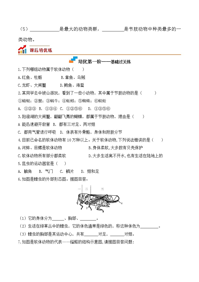 5.1.3 软体动物和节肢动物-2022-2023学年八年级生物上册课后培优分级练（人教版）（原卷版）第2页