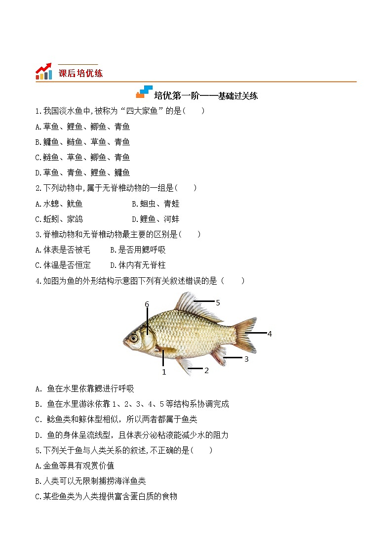 5.1.4 鱼-2022-2023学年八年级生物上册课后培优分级练（人教版）（原卷版）第2页