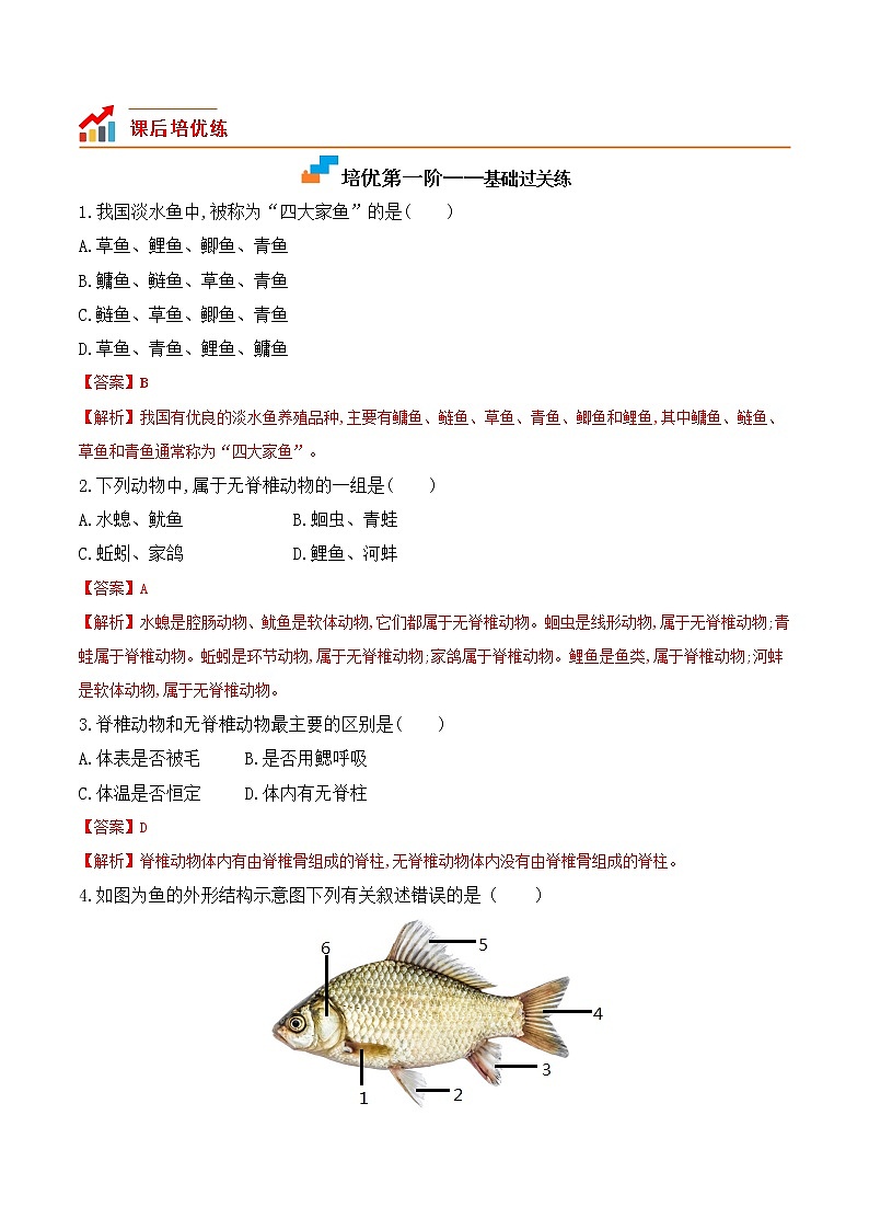 5.1.4 鱼-2022-2023学年八年级生物上册课后培优分级练（人教版）（解析版）第2页