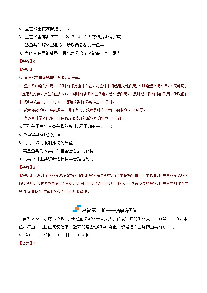 5.1.4 鱼-2022-2023学年八年级生物上册课后培优分级练（人教版）（解析版）第3页