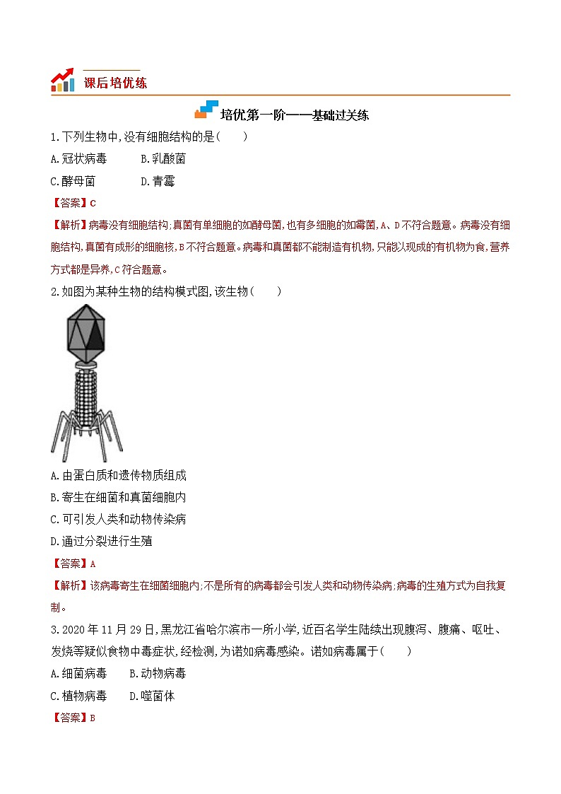 5.5 病毒-2022-2023学年八年级生物上册课后培优分级练（人教版）（解析版）第2页