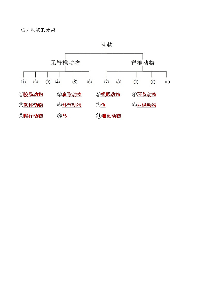 6.1.1尝试对生物进行分类-2022-2023学年八年级生物上册课后培优分级练（人教版）02