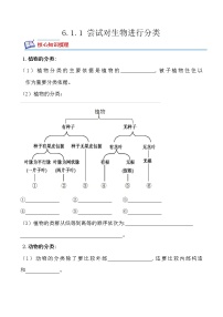 初中生物人教版 (新课标)八年级上册第一节 尝试对生物进行分类优秀同步训练题