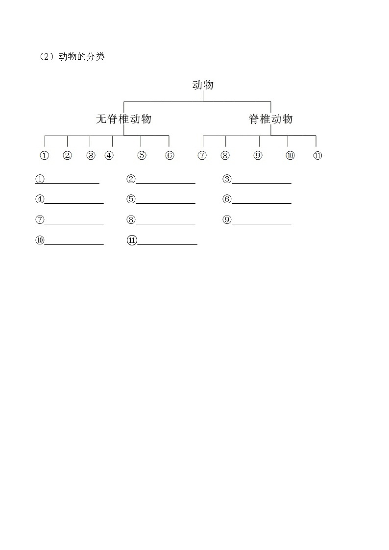 6.1.1尝试对生物进行分类-2022-2023学年八年级生物上册课后培优分级练（人教版）02