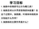 第四节  细胞的生活 课件