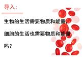 第四节  细胞的生活 课件