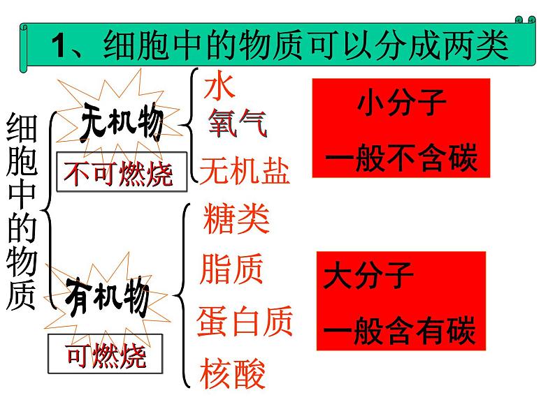 第四节  细胞的生活第8页