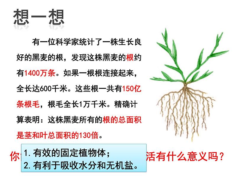 第二节  植株的生长第3页