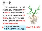 第二节  植株的生长 课件