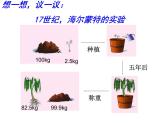 第一节  光合作用吸收二氧化碳释放氧气 课件