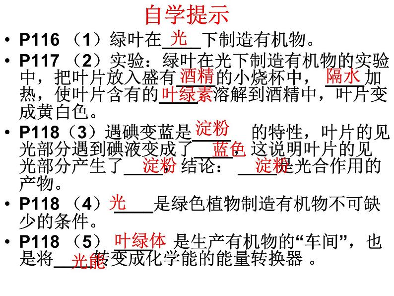 第四章  绿色植物是生物圈中有机物的制造者 课件06