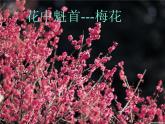 第三节 开花和结果 课件