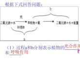 六章：爱护植被_绿化祖国 课件