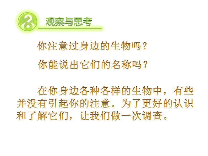 第二节  调查周边环境中的生物 课件05