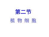 第二节  植物细胞 课件