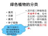 第一节  藻类、苔藓和蕨类植物 课件