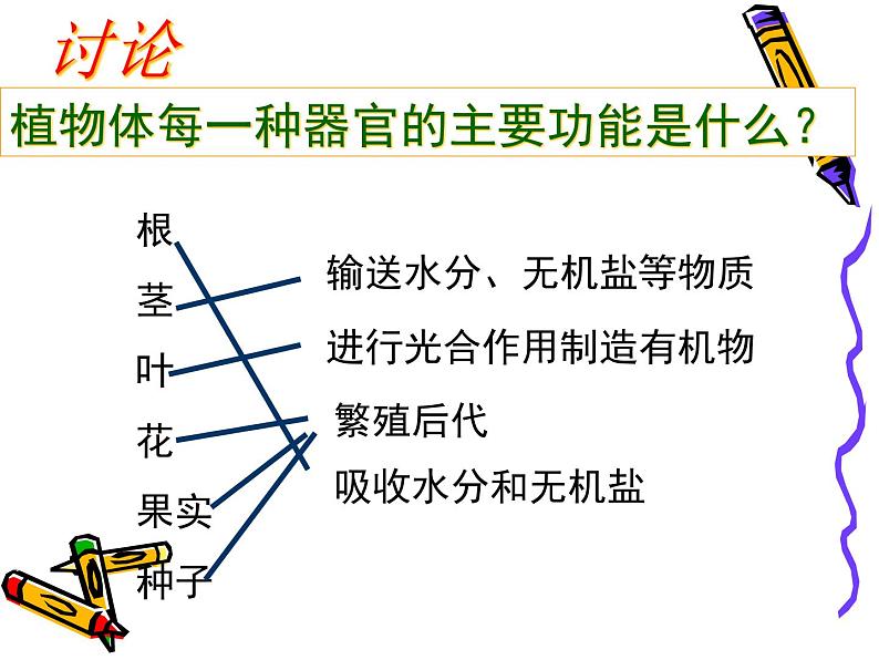 第三节  植物体的结构层次第7页