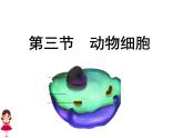 第三节 动物细胞 课件