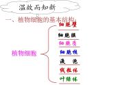 第三节 动物细胞 课件