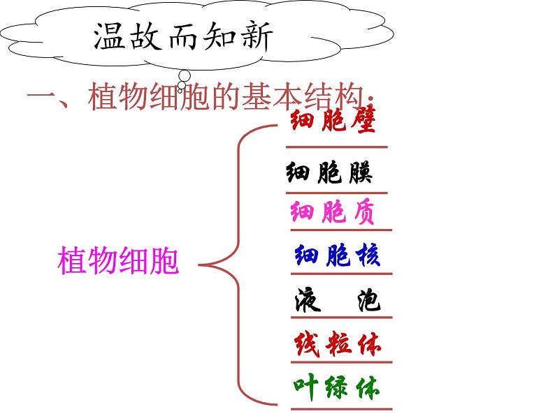 第三节 动物细胞第2页