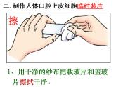 第三节 动物细胞 课件