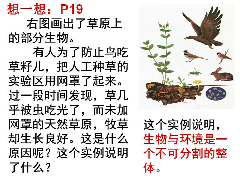 第二节 生物与环境组成生态系统 课件03