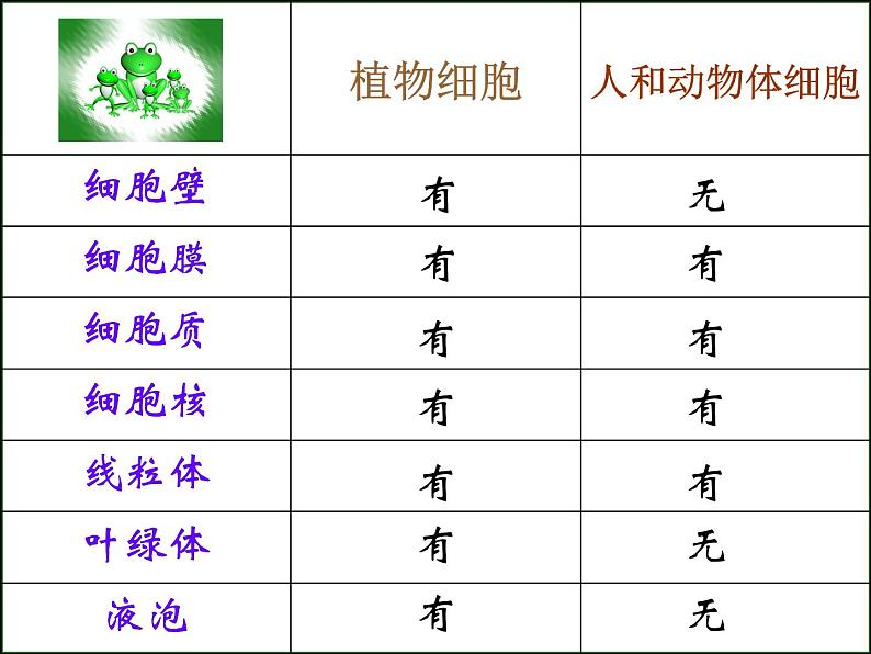 苏科版生物七年级下册复习ppt全第3页