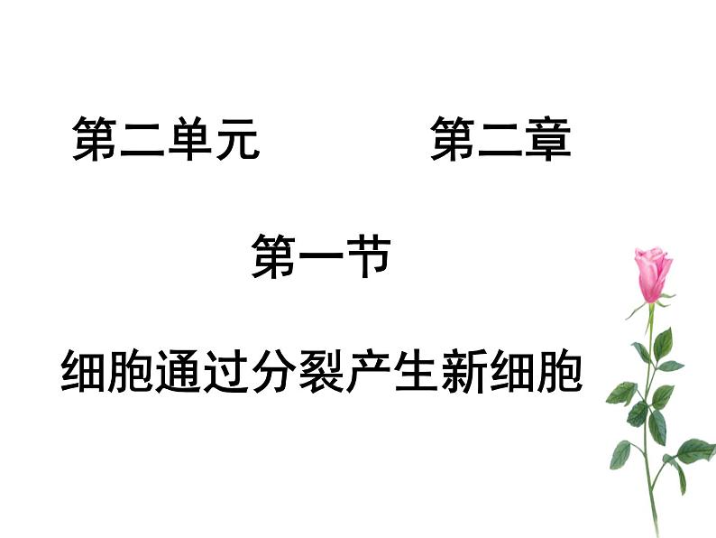 第一节 细胞通过分裂产生新细胞第1页