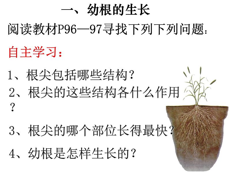 第二节 植株的生长    上课第4页