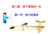 第一节   种子的萌发 课件