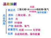 第二节   绿色植物的呼吸作用 课件