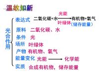 初中生物人教版 (新课标)七年级上册第二节 绿色植物的呼吸作用课前预习课件ppt