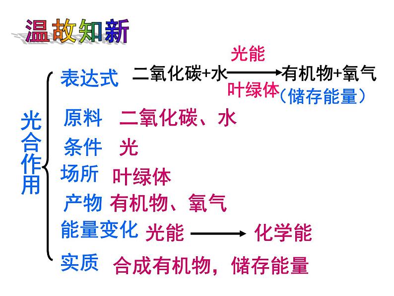 第二节   绿色植物的呼吸作用 课件01