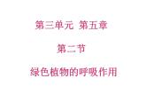 第二节   绿色植物的呼吸作用 课件