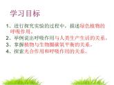 第二节   绿色植物的呼吸作用 课件