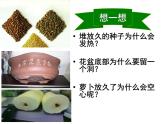 第二节   绿色植物的呼吸作用 课件