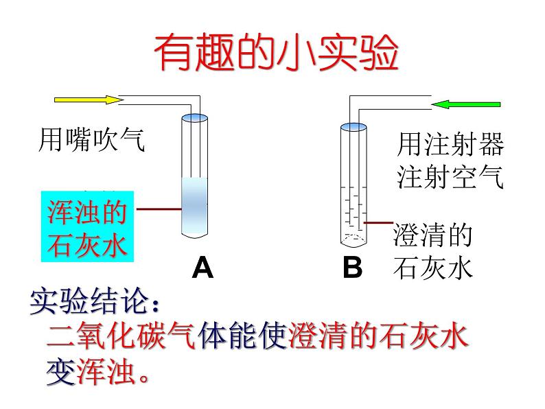 第二节   绿色植物的呼吸作用 课件08