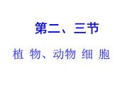 第二、三节   动、植物细胞 课件
