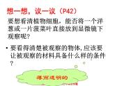 第二、三节   动、植物细胞 课件