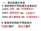 第二、三节   动、植物细胞 课件