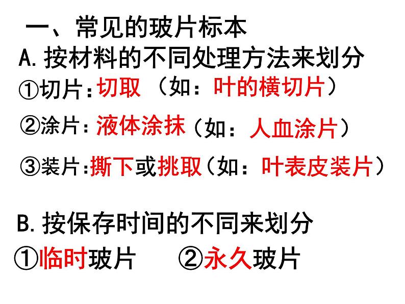 第二、三节   动、植物细胞第3页