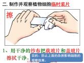 第二、三节   动、植物细胞 课件