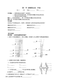 人教版 (新课标)八年级上册第一节 动物的运动教案
