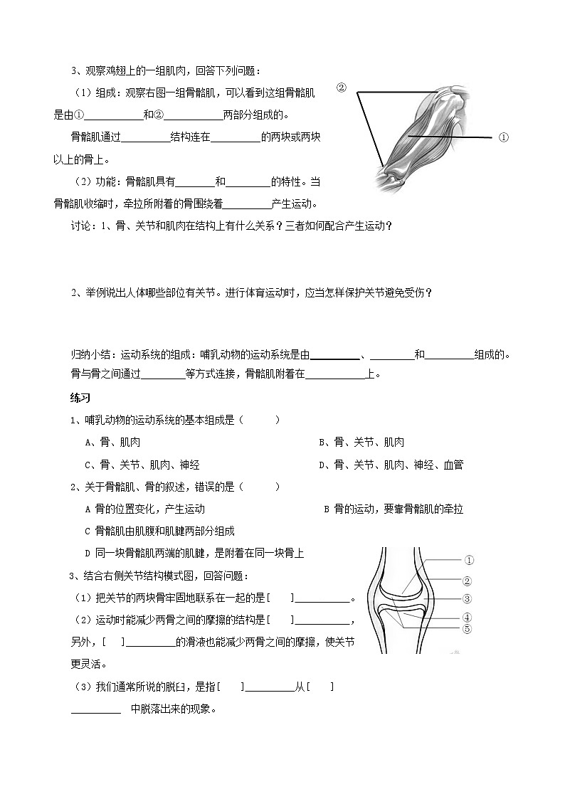 人教版八上生物 5.2.1动物的运动  导学案02