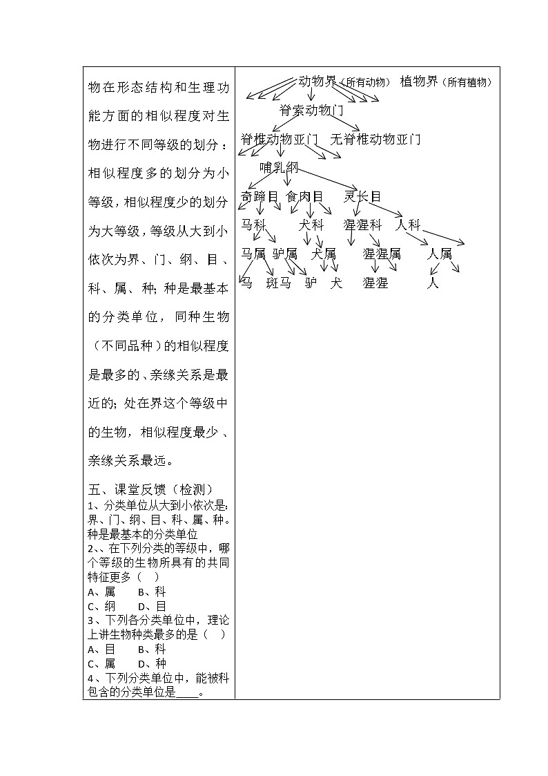 人教版八上生物 6.1.2从种到界  导学案03
