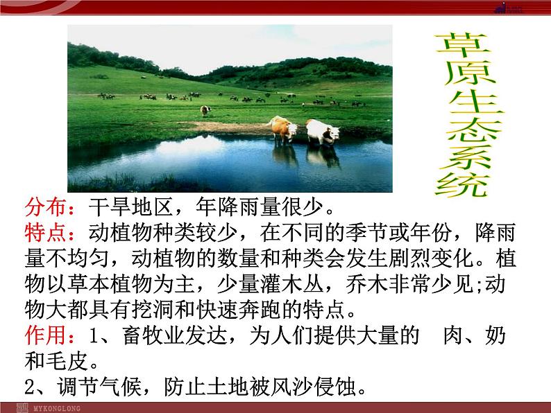 1.2.3生物圈是最大的生态系统第7页