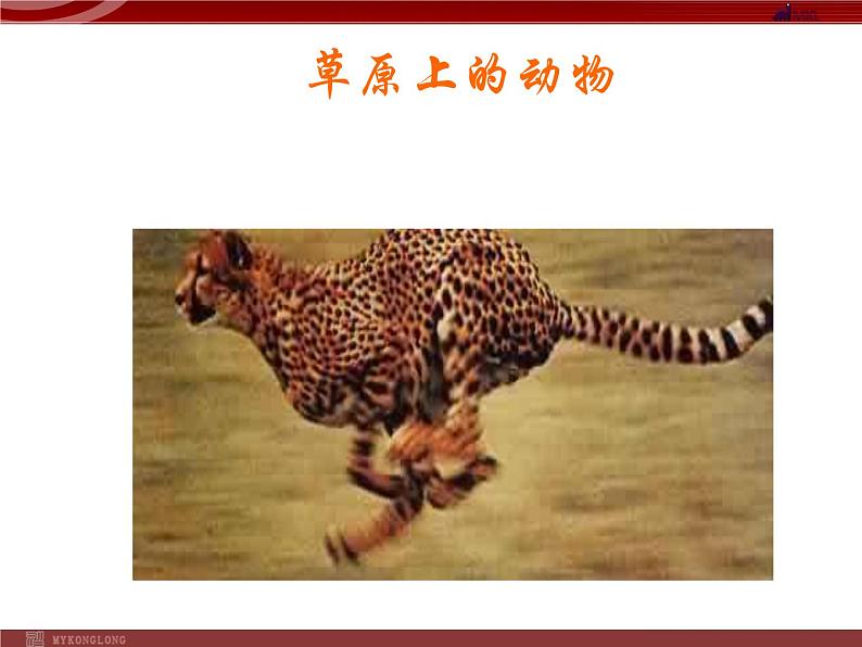 1.2.3生物圈是最大的生态系统第8页